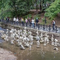 "сад камней" :: navalon M