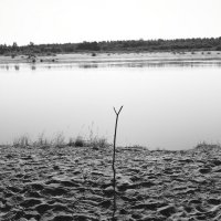 Фотография :: Денис Безногов