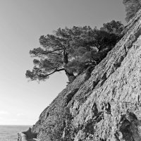 ...по тропе Голицына... :: Александр Герасенков