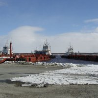 Переправа через реку Обь :: Tata Wolf