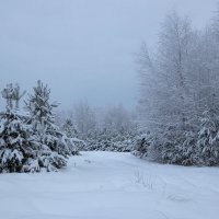 *** :: Андрей Дурапов *** :: Андрей Дурапов