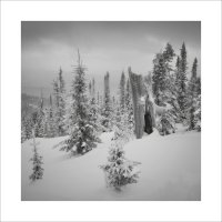 * :: Александр Иванов