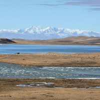 *** :: владимир 