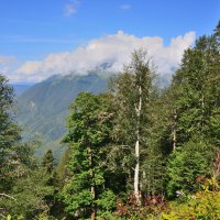 ** :: Александр Хаецкий