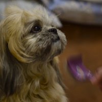 Поговорим.. :: Юрий Полторыхин.