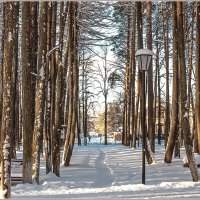 Морозный денёк :: Aquarius - Сергей Морозный денёк :: Aquarius - Сергей