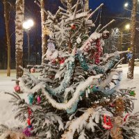 Елочка Новогодняя в сквере :: Наталья Куликова