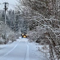 Дачная зарисовка :: Любовь 