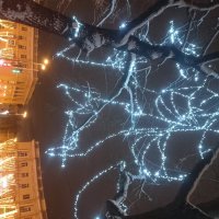 Новгодние гирлянды :: Сапсан 