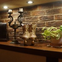 чешская пивница "Подстреленная гусыня" :: zavitok *