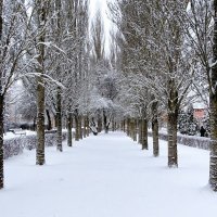 Зимний город. :: Милешкин Владимир Алексеевич 