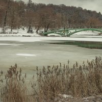 Самые короткие дни. :: Николай 