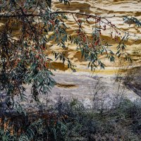 Берег :: Анатолий Чикчирный Берег :: Анатолий Чикчирный