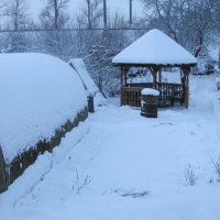 Засыпало сад :: Людмила Смородинская