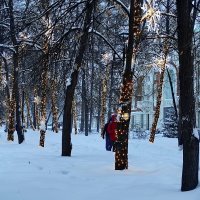 Снежными аллеями :: Татьяна Лютаева