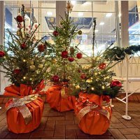 Новогоднее...Светлогорское. :: Валерия Комова