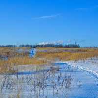 Новочебоксарск. Поле северо-западных окрестностей города зимой. :: Пётр Чернега Новочебоксарск. Поле северо-западных окрестностей города зимой. :: Пётр Чернега