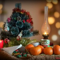 А у вас всё готово к встрече Нового года?  :-) :: Андрей Заломленков