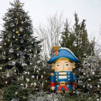 Щелкунчик :: Ольга 