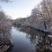 Утро. :: Александр. AVG100 ---