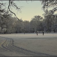 *** :: Aleksandr Gal