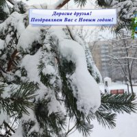 С Наступаюшим Новым Годом, друзья! :: Сергей Тимоновский С Наступаюшим Новым Годом, друзья! :: Сергей Тимоновский