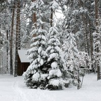 В городском парке :: Галина Нестратова