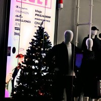 Рождество в Штутгарте - 7 :: Алексей Кузнецов