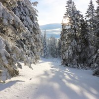 С Новым Годом! :: Галина Ильясова