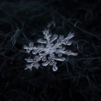 Одна снежинка - ещё не снег (2) :: Игорь Шевченко Одна снежинка - ещё не снег (2) :: Игорь Шевченко