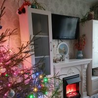 Наступает Новый год... :: BoxerMak Mak