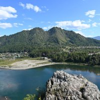 Верблюд :: Валерий Медведев