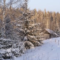 У леса на опушке... :: Сергей Ц