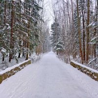 Дороги декабря. :: Лия ☼ Дороги декабря. :: Лия ☼