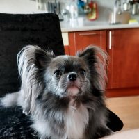 Федя :: Евгений Васильев