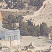 13  ОПЕН (782) :: OPEN WAYS ALL