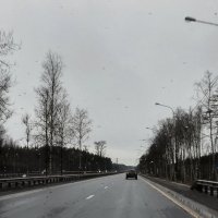 Зима 2025. Декабрь :: Наталья Герасимова