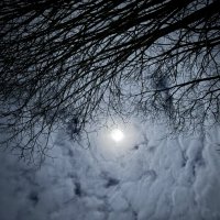 Светит месяц… :: Ольга Савельева 