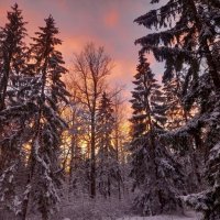 Закат :: Сапсан 