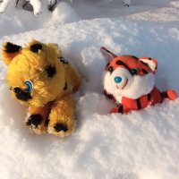 Я на солнышко гляжу :: Фотогруппа Весна Я на солнышко гляжу :: Фотогруппа Весна