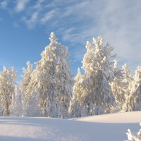 Предновогоднее путешествие :: Галина Нестратова