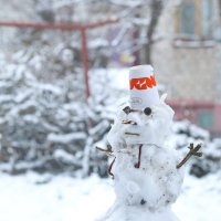 Какая зима, такой и снеговик. :: Татьяна Бравая