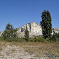 Природа Крыма :: Amazing Cosmea