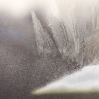 На "крыше" выросли "ёлки" :) :: Юрий Куликов На "крыше" выросли "ёлки" :) :: Юрий Куликов