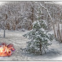 Всех с Наступающим Новым Годом! :: Юрий Яньков Всех с Наступающим Новым Годом! :: Юрий Яньков