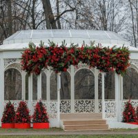 Начинаются праздники... :: Елена 