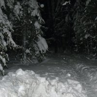 С Новым Годом, други! :: ВикТор Быстров С Новым Годом, други! :: ВикТор Быстров