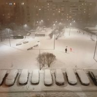 ВОТ И У НАС ЗИМА :: Виктор Никитенко