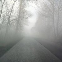 НОВОГОДНИЙ СОЧИ. :: Tata Wolf