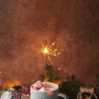 С Наступающим Новым годом! :: Яна Горбунова